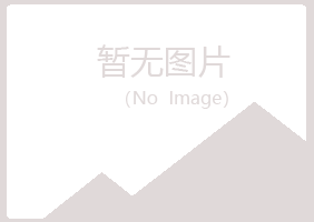 阜新海州字迹艺术有限公司